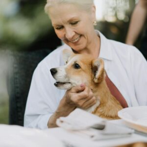 Affordable Pet Insurance For Senior Dogs-fitinsurance.site